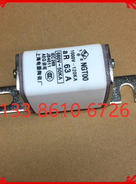 快速熔断器 NGT00-63A 独立式安装 NGTOO 660V-50KV 保险丝