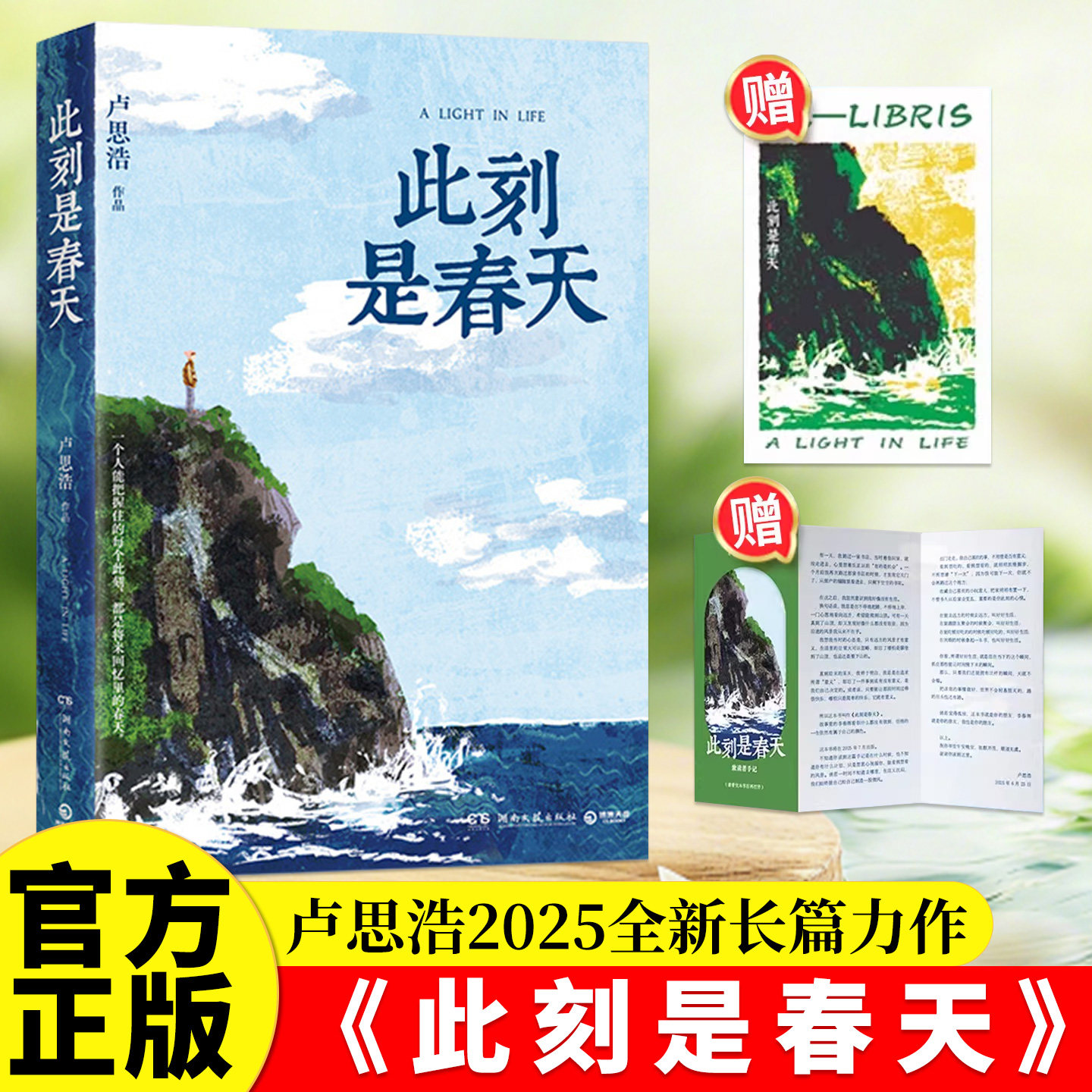 此刻是春天卢思浩正版2025重磅新书，献给每一个经历事与愿违的你 随书附赠致读者手记折页+藏书票 愿有人陪你颠沛流离 长篇小说