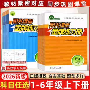 2026春阳光课堂金牌练习册一二三四五六年级下册上册小学语文数学教材同步练习册人教版 同步训练课时作业本一课一练天天练天津适用