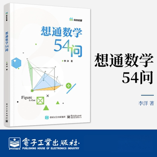 数学计算技巧 青少年数学思维训练 解题方法与技巧初中数学教程 初中通用二进制数怎么转换方程函数图形教程书籍 想通数学54问