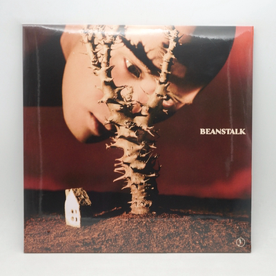 正版 YELLOW黄宣专辑《BEANSTALK》12寸黑胶唱片LP