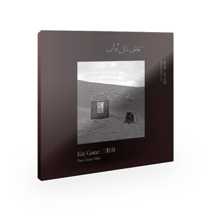 Guitar：三粒谷 正版 Küy 穆拉特·谢力扎提 唱片