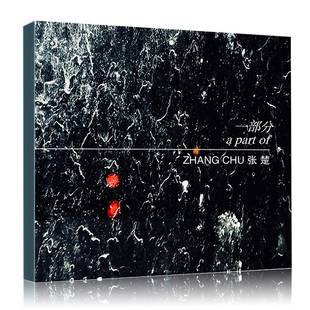 歌词本 正版 2019新专辑 独音唱片 张楚：一部分