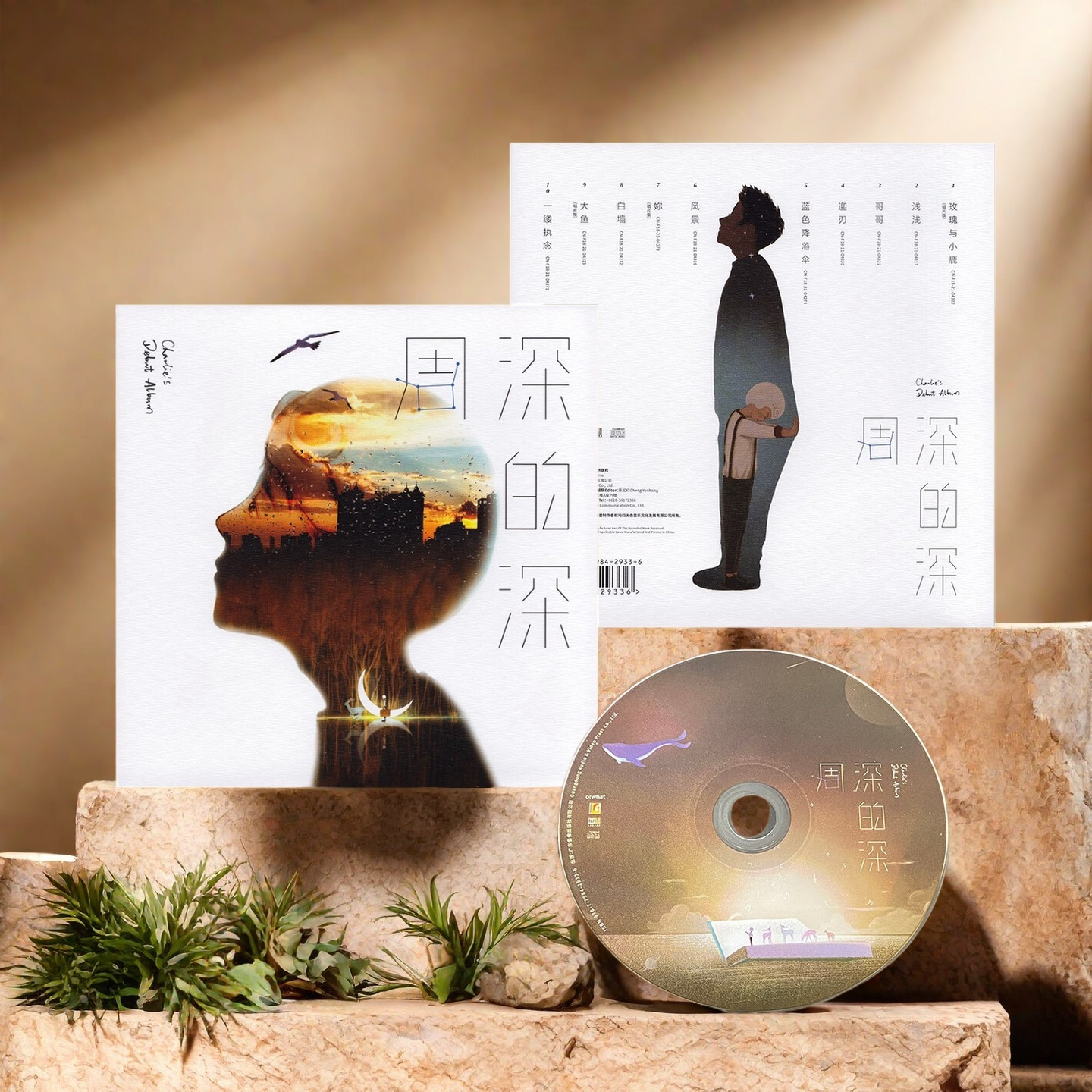 正版唱片 高晓松 声音唯美 画面感