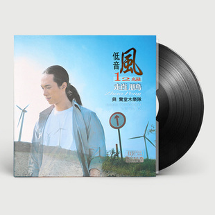 正版 赵鹏 与惊堂木乐队 低音风12级 黑胶LP唱盘碟片留声机专用