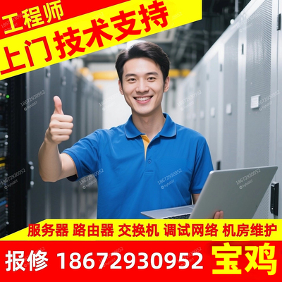 上架陕西宝鸡上门维修网络运维保技术支持调试交换机浪潮服务器