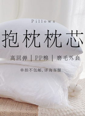 抱枕芯内胆内芯靠垫芯正方形抱枕心沙发靠背靠枕芯子