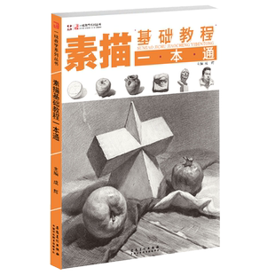 素描基础教程一本通单个组合静物几何体人物头像五官石膏像结构明暗步骤解析铅笔初学自学美术绘画零基础画画入门教材临摹画册书籍