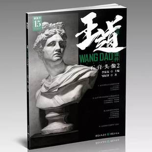 石膏头像基础知识局部五官画面解析结构对应范画临摹范本零基础初学自学美术绘画书 敲门砖邹棂荠编 8成新 2018王道课件石膏头像2
