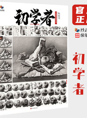 8成新初学者素描静物超级体系