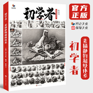 8成新初学者素描静物超级体系