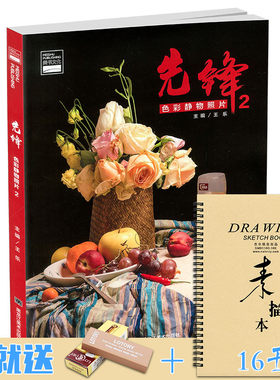 8成新2019先锋色彩静物照片2美书文化王乐色彩基础单体组合果蔬花卉水粉静物照片写生对画临摹范本高校联考题国美术绘画册教学材书