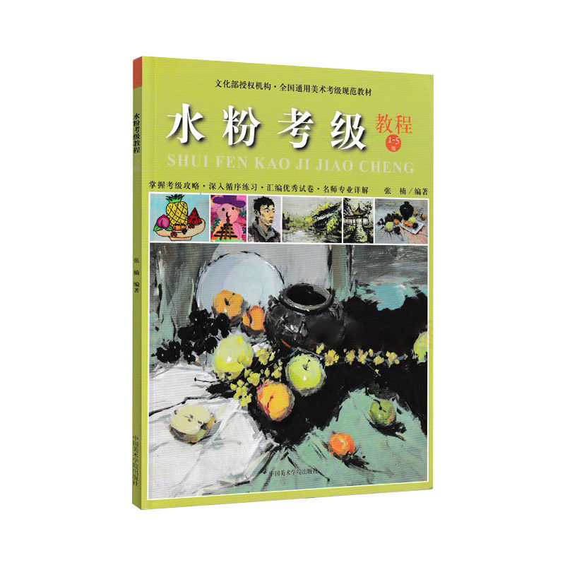 掌握考级攻略 深入循序练习 名师专业详解