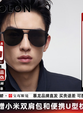 BOLON暴龙眼镜新品双梁偏光太阳镜飞行员开车驾驶墨镜男BL8223