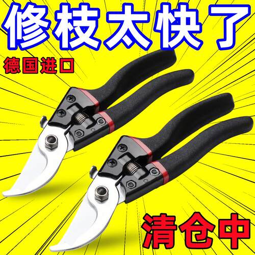 德国进口钢粗枝剪省力修枝剪刀园艺修花木果树嫁接园林剪农用工具