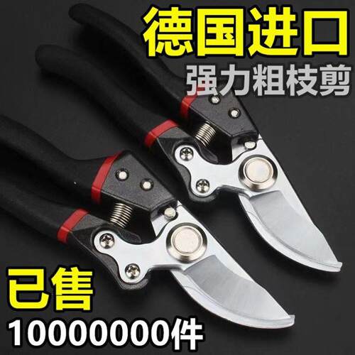 德国原装进口SK5强力园艺剪园林花卉修枝剪树剪子果树剪