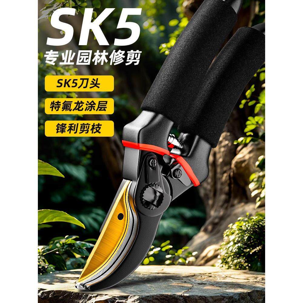 剪枝剪刀省力园林花艺剪花木园林果树修枝剪专用粗大枝剪园艺工具图片