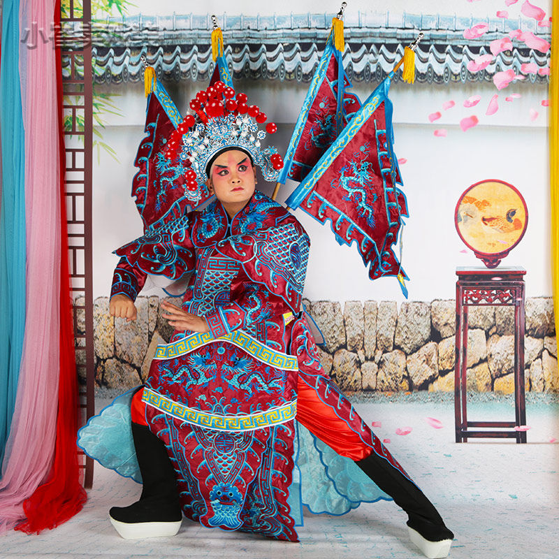 戏装大靠京剧戏曲戏剧服装古装服饰武生武将将军花脸老生  男大靠