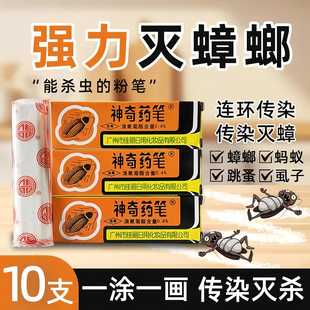 广州佳丽牌神奇药笔蟑螂蚂蚁跳蚤臭虫粉笔药厨房家用3支杀灭虱子
