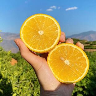 褚橙花斑果正宗当季冰糖橙云南哀牢山新鲜时令水果现摘顺丰包邮