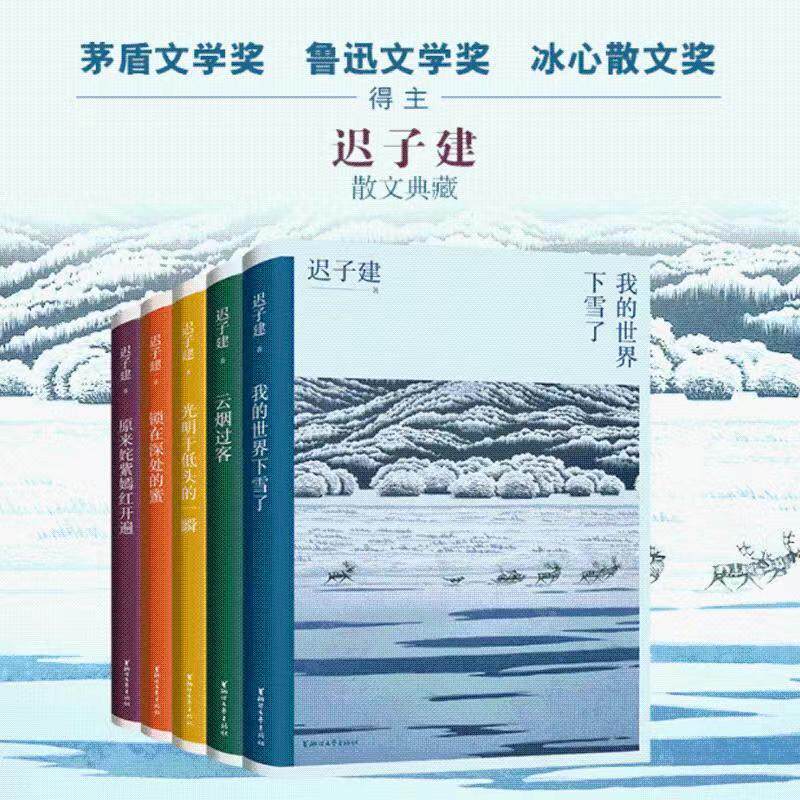 迟子建散文典藏集套装5册茅盾奖
