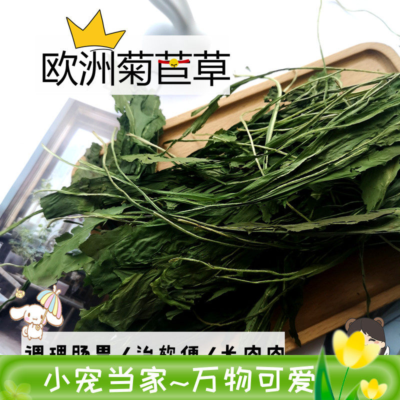 全年龄段适应欧洲菊苣保护肠胃健康增肥兔兔荷兰猪补营养幼兔易碎,宠物/宠物食品及用品,兔兔其他,淘宝优惠券,粉丝福利购,淘宝优惠卷