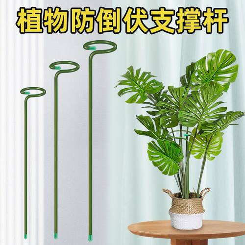 植物支撑杆朱顶红花卉园艺防倒扶支架插花固定神器植物枝条固定杆