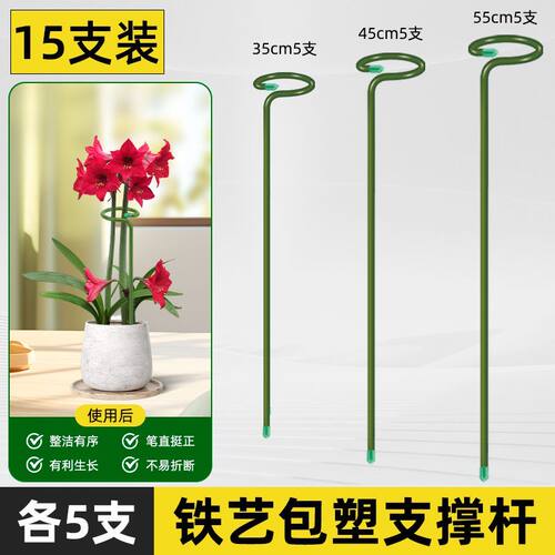 植物防倒伏支架铁艺绣球吊兰支撑杆园艺固定架爬藤花卉朱顶红花架