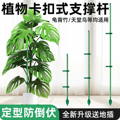 园艺支撑杆花架固定器龟背竹专用老桩花支架固定花神器植物防倒伏