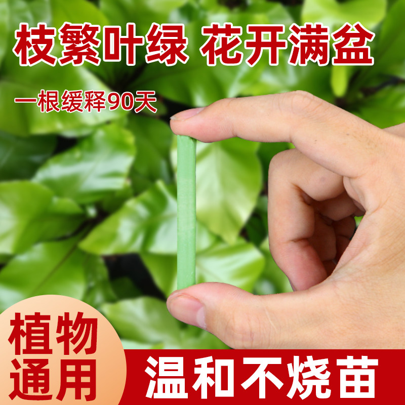 植物缓释肥营养棒养花通用型花肥家用盆栽复合肥料发财树花卉绿植,鲜花速递/花卉仿真/绿植园艺,家庭园艺肥料,淘宝优惠券,粉丝福利购,淘宝优惠卷