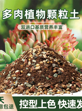 多肉颗粒土多肉土专用营养土壤种植土泥铺面石纯颗粒泥炭花土盆栽