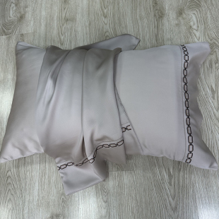 品牌福利款 正品兰精天丝100支单人枕套48X74一对