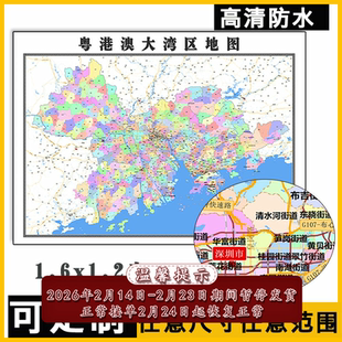 粤港澳大湾区地图1.6米特殊定制广东省行政交通信息划分高清贴图