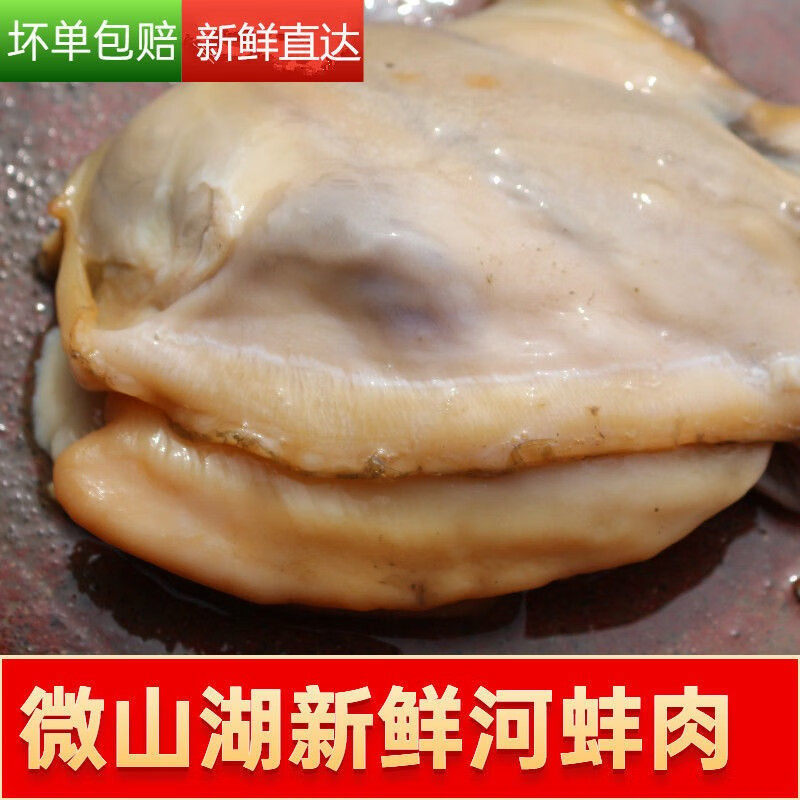 微山湖淡水河蚌肉新鲜商用比东北河蚌肉新鲜鲜活去壳每日活蚌现剥