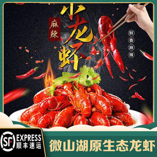 小龙虾新鲜活龙虾鲜活水产特大小青龙虾比盱眙龙虾好批发包活到家
