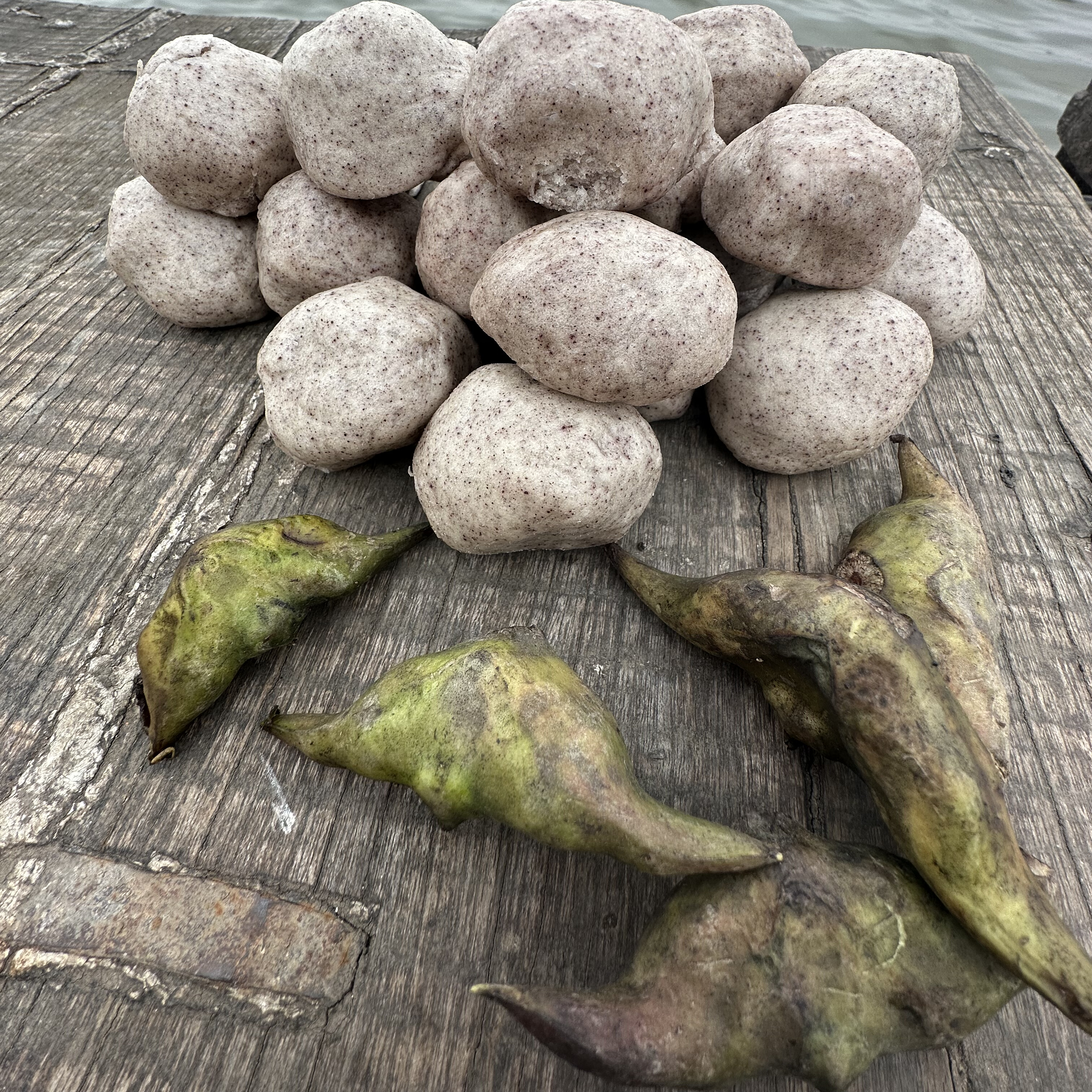 （下单送1斤）菱角面窝窝头渔家窝窝一份一斤冷冻东平湖菱角窝窝