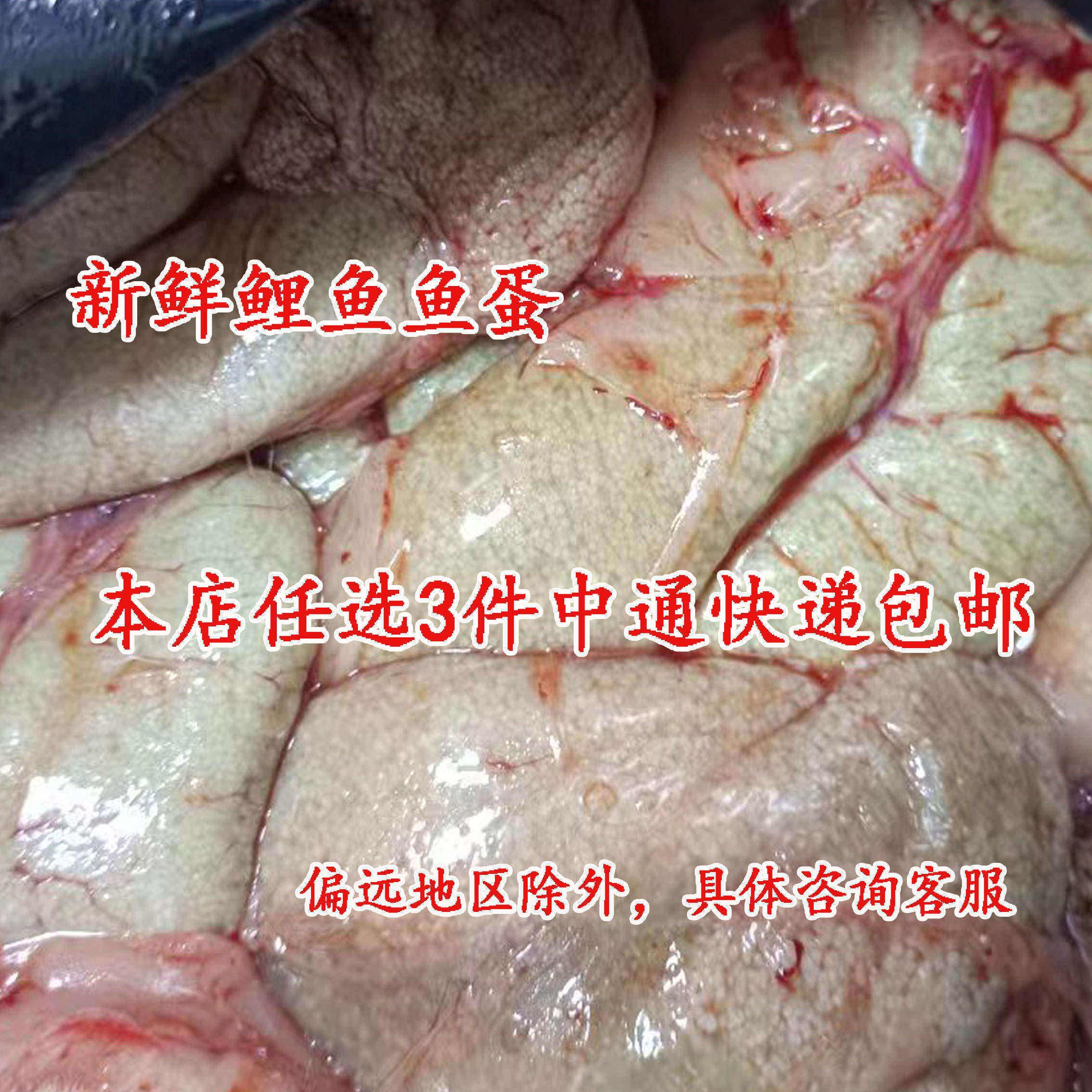 淡水 鱼籽鱼杂 新鲜 鱼子 鱼卵 鱼蛋 鱼籽酱 500g 鱼内脏中通快递