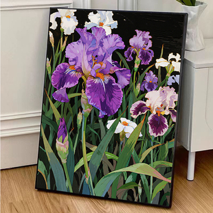 高级感鸢尾花数字油画治愈系高难度手工diy填充丙烯油彩画装饰画