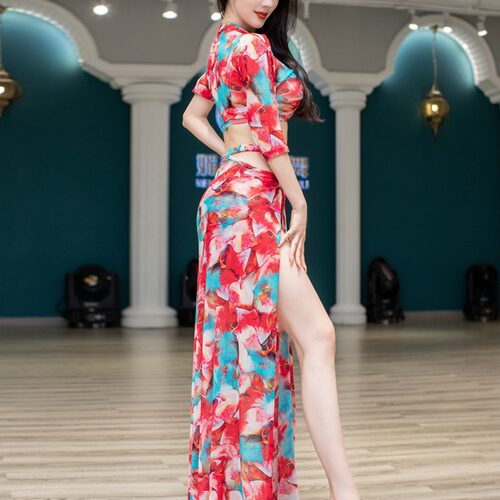 肚皮舞服女新款网红同款中袖性感高端网纱练功服演出服