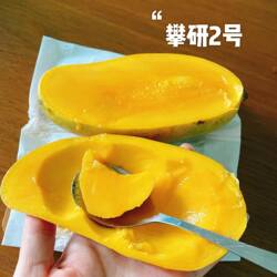 攀枝花攀研二号 Q弹果冻芒带椰香无纤维丝不塞牙 肉厚皮薄8斤包邮