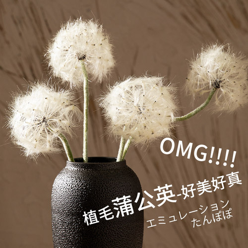 大号仿真花蒲公英花束摆放花卉