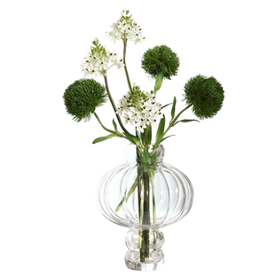 森林植物雀梅绿石竹仿真花卉绿色伯利恒之星假花摆件装饰插花摄影