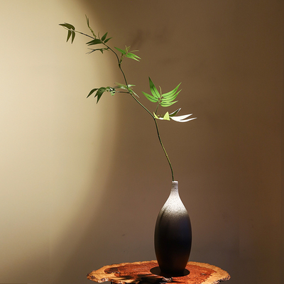 仿真绿植雪柳枝芒萁叶蕨类小枝春叶芽绿色竹子禅意插花辅料插花