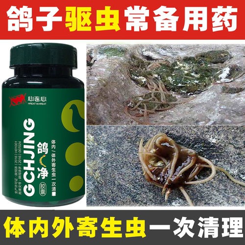 鸽药鸽体内虫蛔虫虫净鸽子药信鸽