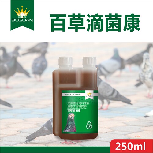 搏冠赛鸽百草滴菌康250毫升