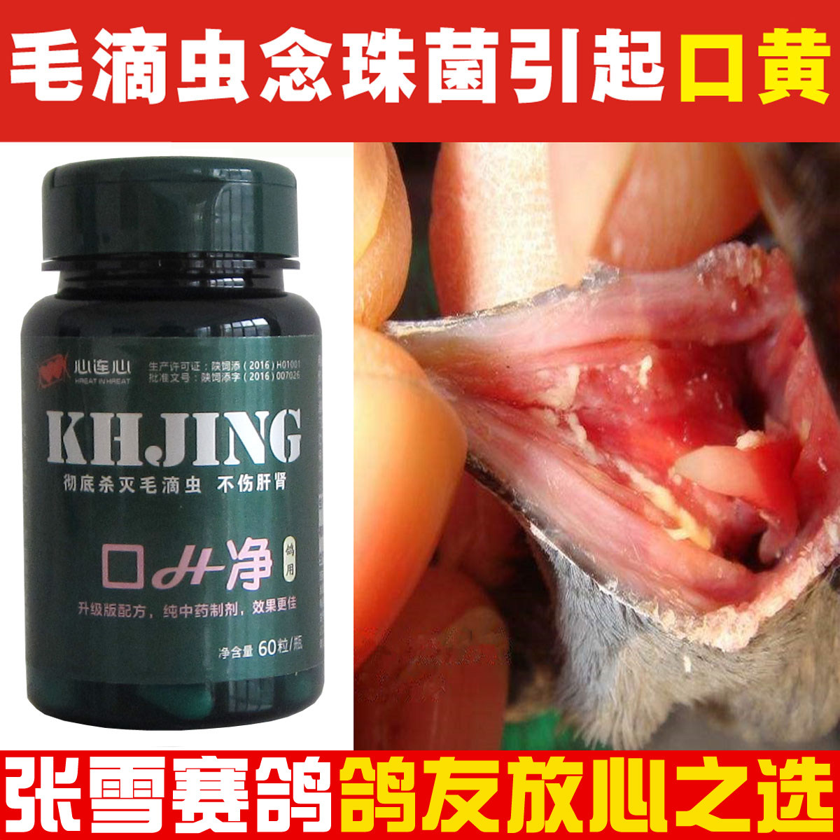 心连心鸽药口黄净60粒信鸽口h净赛鸽药杀灭毛滴虫口黄鸽子药大全