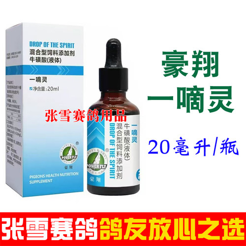 豪翔一滴灵鸽子单眼鹦鹉鸟类