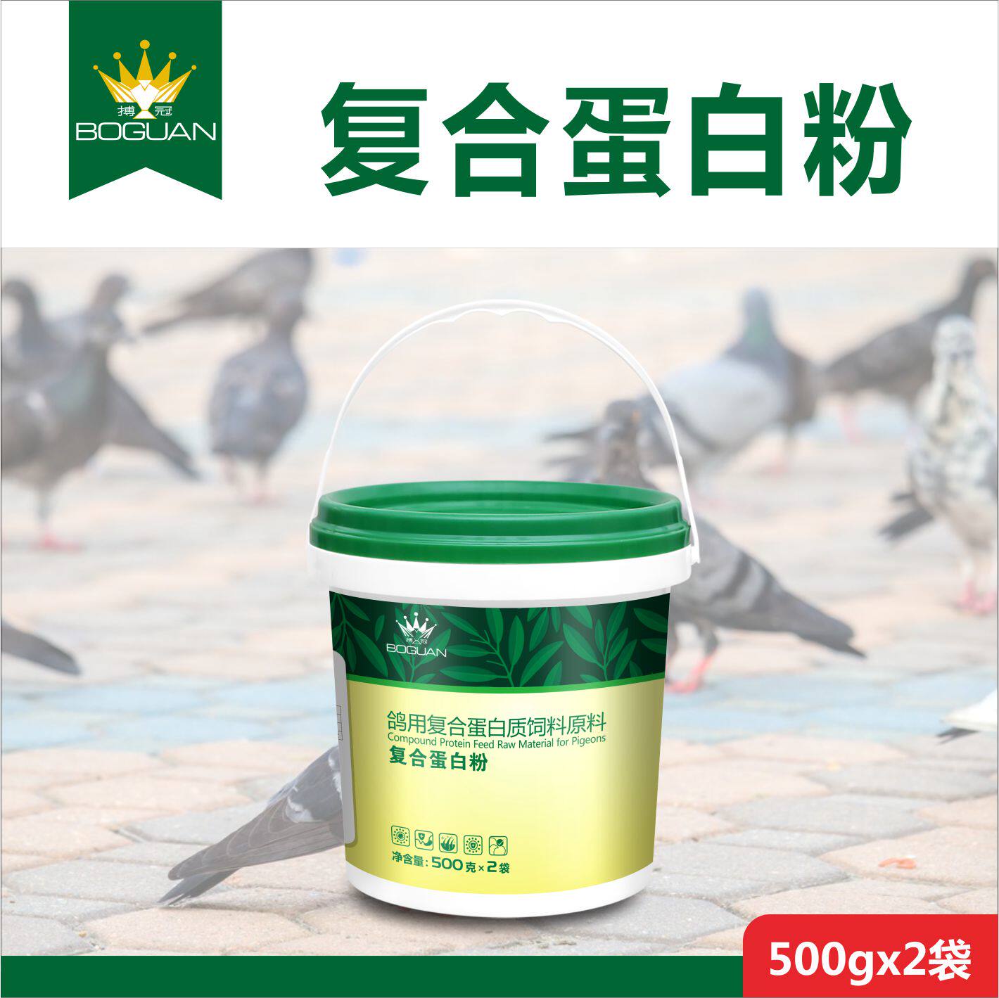 搏冠鸽药复合蛋白粉鸽子药大全