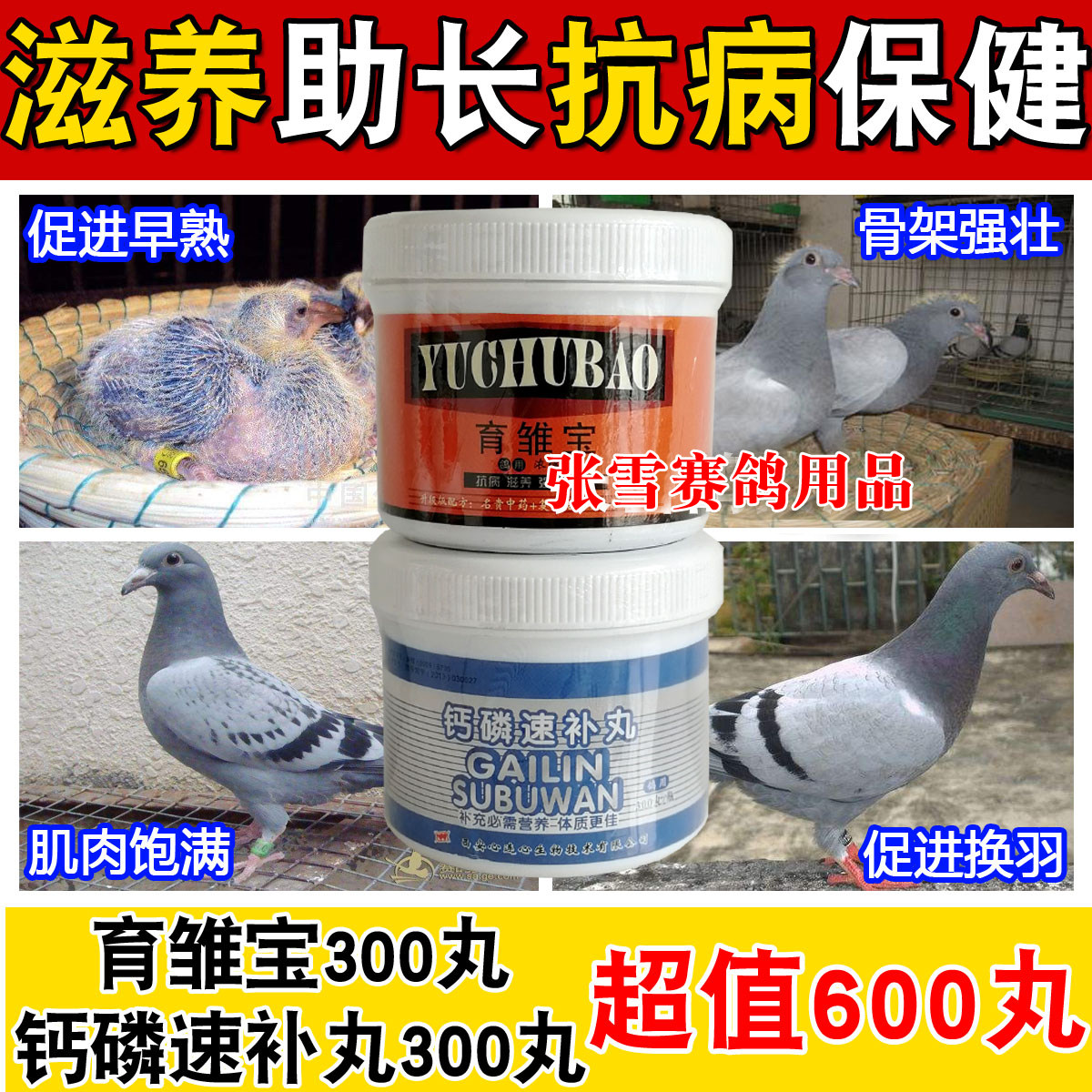 鸽子药大全心连心鸽药钙磷速补丸+育雏宝幼鸽丸营养组合赛信鸽药