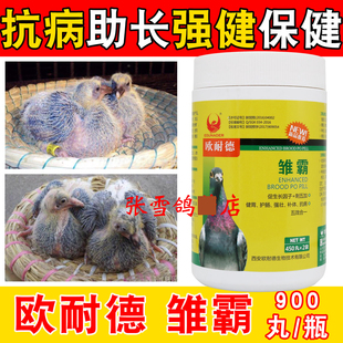 鸽子药大全欧耐德鸽药雏霸900丸信鸽赛鸽保健营养幼鸽丸育雏宝